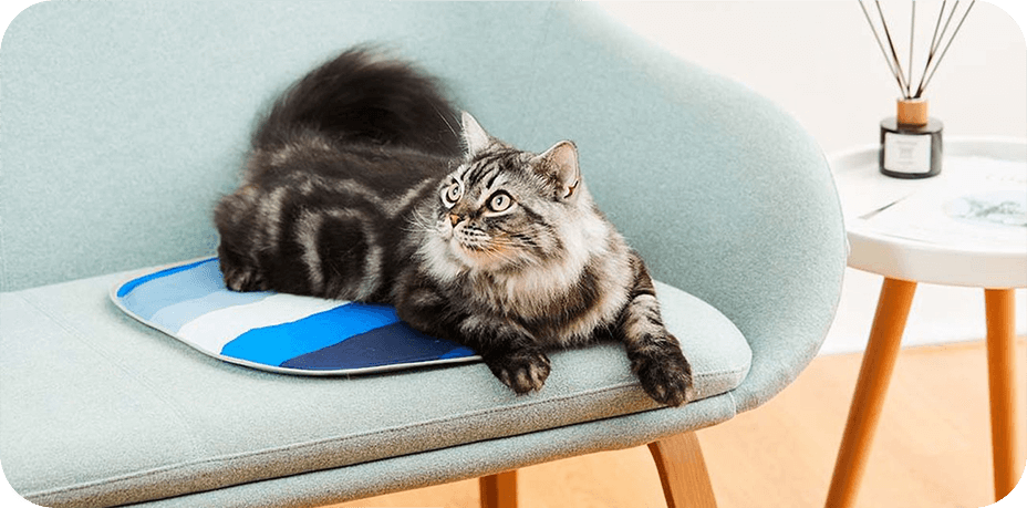 Mata Petkit Cooling Cat Pad